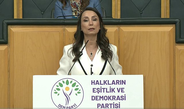 DEM Parti'li Hatimoğulları: Çerçeve yasanın acilen çıkması lazım