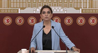 DEM Parti'li Koçyiğit: Barışın hukuksal bir güvenceye ihtiyacı var