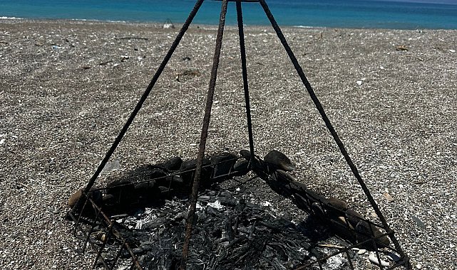 Deniz kaplumbağası koruma demirinin ortasında ateş yaktılar; inceleme başlatıldı