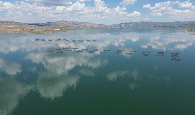 Denizi olmayan Kayseri'den 49 ülkeye balık ihracı
