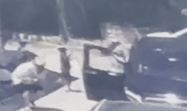 Dilan Polat'ın koruması silahlı saldırıda hayatını kaybetti
