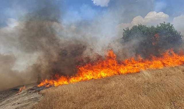Diyarbakır kırsalında 10 noktada örtü ve anız yangını: 100 hektar alan yandı