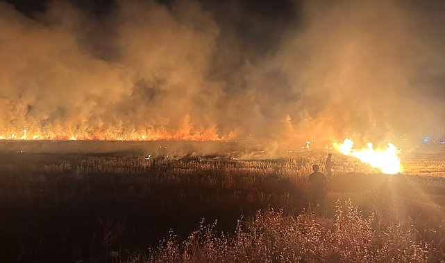 Diyarbakır'da anız yangını; müdahale sürüyor