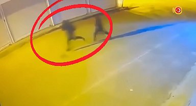 Diyarbakır'da çıkar amaçlı silahlı suç örgütüne operasyon: 15 tutuklama