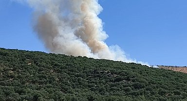 Diyarbakır'da örtü yangını