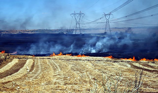Edirne'de anız yangını; 500 dekar tarım arazisi zarar gördü