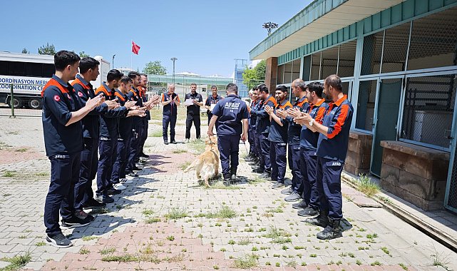 Emekliliği beklenen kahraman köpek 'Köpük', 9 yaşında grup ikincisi oldu