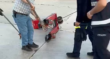 Fabrikaya giren yılan itfaiye ekipleri tarafından yakalanarak doğaya bırakıldı