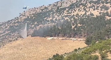 Gaziantep'te orman yangını