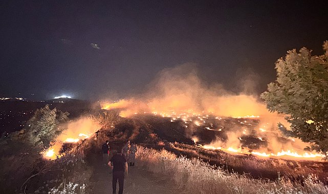 Hatay'da anız yangını, zeytin bahçelerine zarar verdi