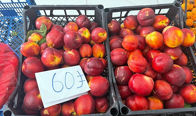 Hatay'da bahçede 15 TL'ye satılan şeftali pazarda 60 TL