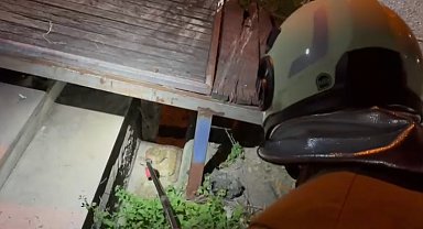 Hatay'da evin bahçesine giren yılan, doğaya salındı