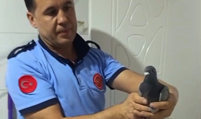 Havalandırma boşluğuna düşen güvercini itfaiyeciler kurtardı