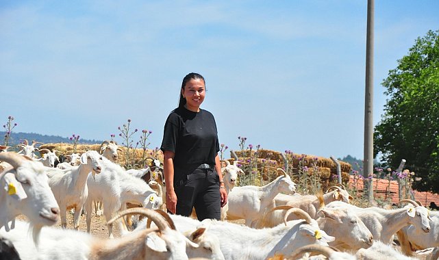 Hayali olan keçi peyniri markası için şehir hayatını bırakıp köyüne döndü