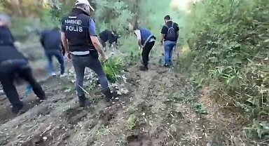 Hevsel Bahçeleri'nde 12 bin 174 kök kenevir ele geçirildi