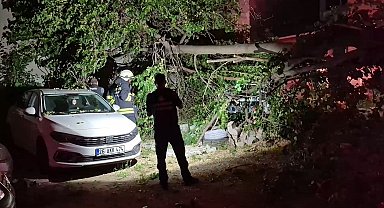İkiye ayrılan dut ağacı, 2 aracın üzerine devrildi