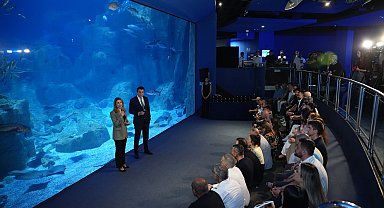 İstanbul Akvaryum 15'inci yılında 15 milyon ziyaretçiye ulaştı