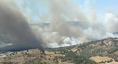 İzmir'de maki yangını