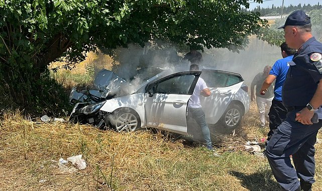 İzmir'de otomobil, ağaca çarptı: 4 ağır yaralı