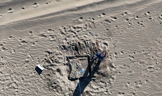 İztuzu Plajı'nda caretta caretta yuva sayısı 100'e ulaştı