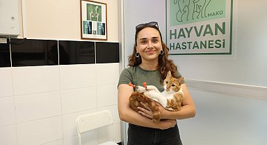 Kazazede 'Balım', protez patileriyle yeniden yürüdü