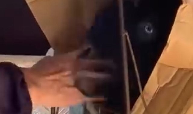 Keçisiyle dolmuşa bindi, yol boyunca başını okşadı