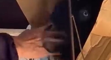 Keçisiyle dolmuşa bindi, yol boyunca başını okşadı
