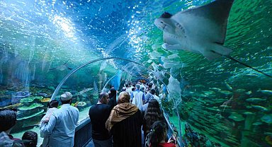 Kocaeli'ndeki Körfez Aqua Kıtalar Akvaryumu'na ücretsiz ziyaret süresi uzatıldı