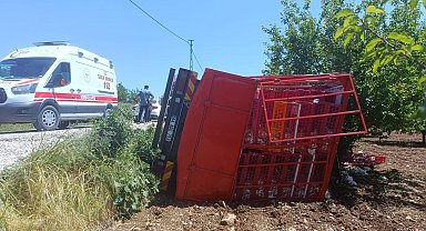Malatya'da tavuk yüklü kamyon devrildi