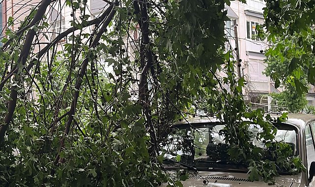 Manisa'da sağanak; sel sularının evin kapısından taştığı anlar kamerada