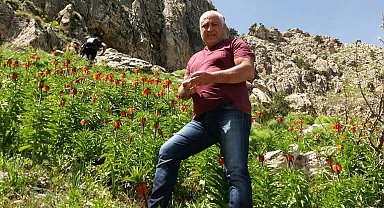 Mantar toplamak için çıktığı dağda ölü bulundu