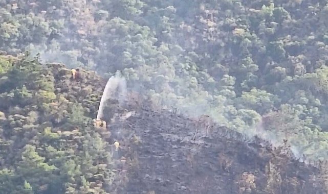 Marmaris'te ormana yıldırım düştü, yangın çıktı