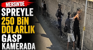 Mersin’de spreyle 250 bin dolarlık gasp kamerada