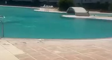 Mersin'de bir kadının haşema ile havuza alınmadığı iddiasına tutuklama