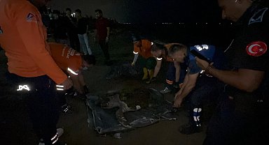 Mersin'de sahile ölü caretta caretta vurdu