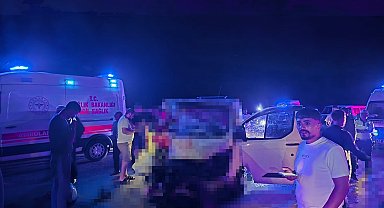 Minibüs, yola çıkan ata çarptı; 1 ölü, 2 yaralı