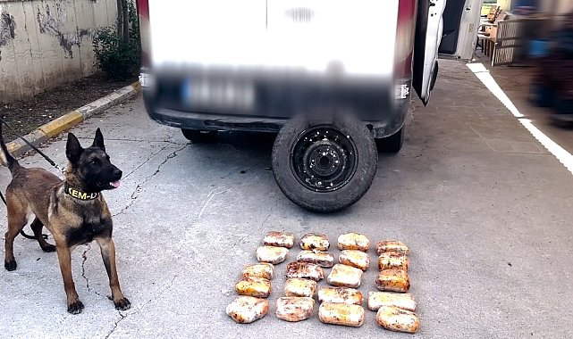 Minibüsün yedek lastiğine zulalanmış 11,5 kilo uyuşturucuyu 'Hector' buldu