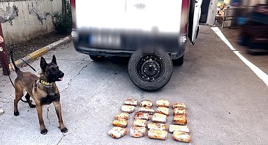 Minibüsün yedek lastiğine zulalanmış 11,5 kilo uyuşturucuyu 'Hector' buldu