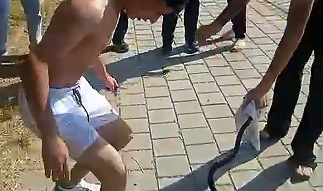 Nehirden çıkardıkları yılanın başını ezip, çakıyla keserek öldürdüler