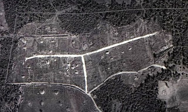 Ormanı bölüşen kamu personeline mahkeme 'dur' dedi