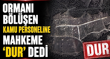 Ormanı bölüşen kamu personeline mahkeme 'dur' dedi