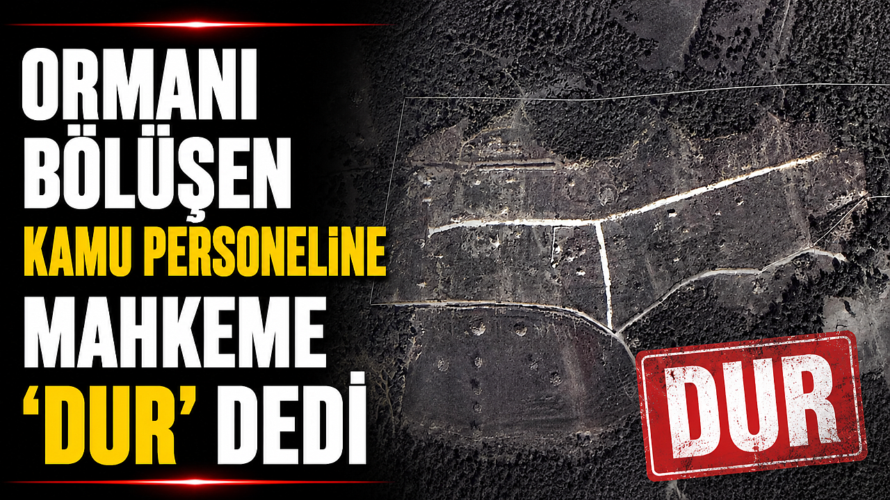 Ormanı bölüşen kamu personeline mahkeme 'dur' dedi