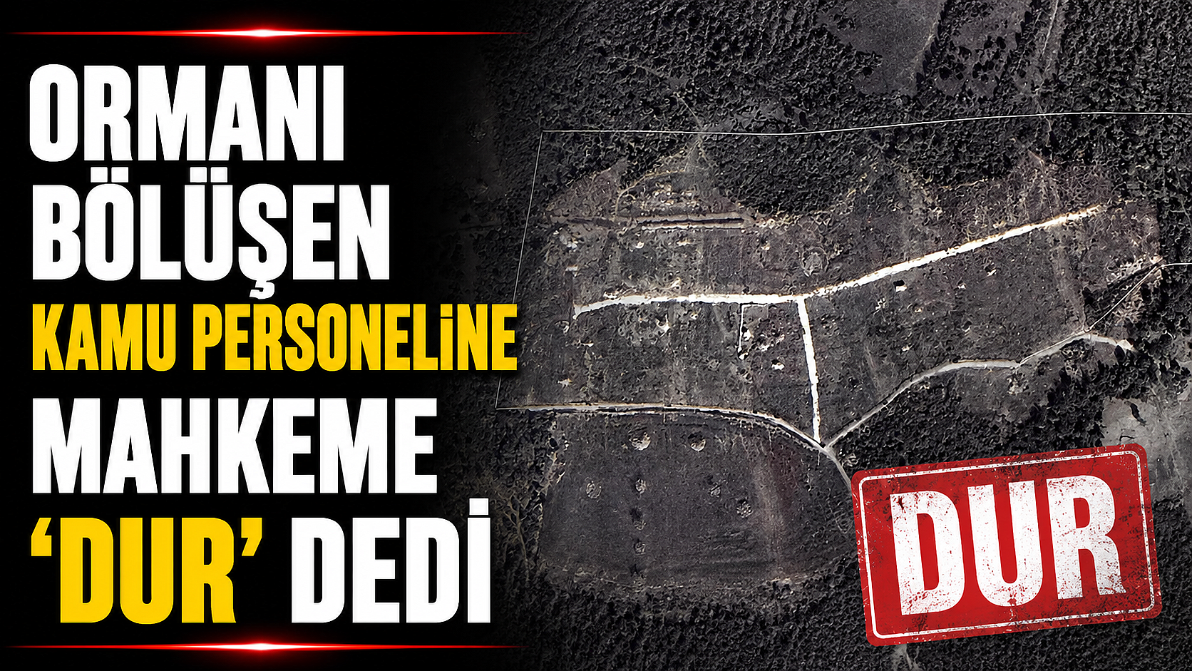 Ormanı bölüşen kamu personeline mahkeme 'dur' dedi