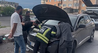 Otomobilin motor bölümüne sıkışan 2 yavru kedi kurtarıldı