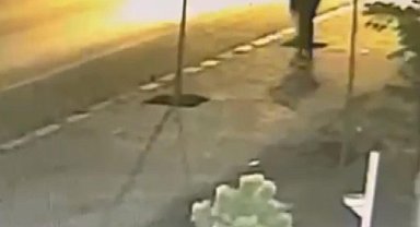 Patnos'ta kaldırımlardaki fidanları söken şüpheli yakalandı