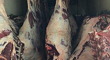 Sakarya'da 1,8 ton menşei belirsiz karkas et imha edildi