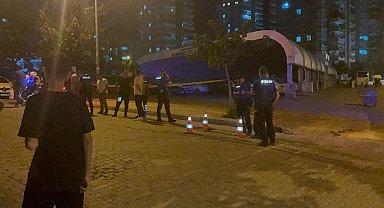 Şanlıurfa'da silahlı kavga; anne öldü, oğlu yaralı