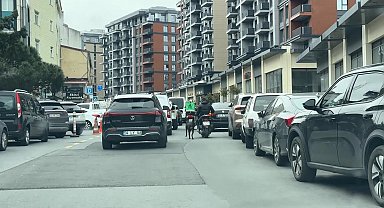 Seyrantepe'de motosiklete bağladığı köpeği metrelerce koşturdu: 8 bin 678 lira ceza kesildi
