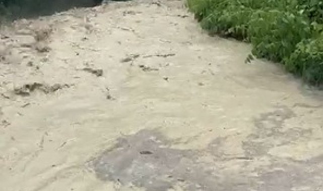Şiddetli yağışın ardından dereler taştı, tarım arazileri su altında kaldı