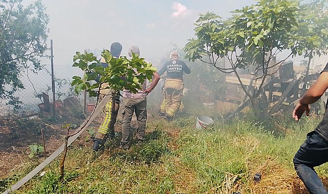 Silivri'de otlukta çıkan yangın gecekonduya sıçradı-1